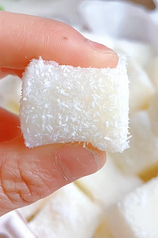 Coconut Milk Pudding Cubes
