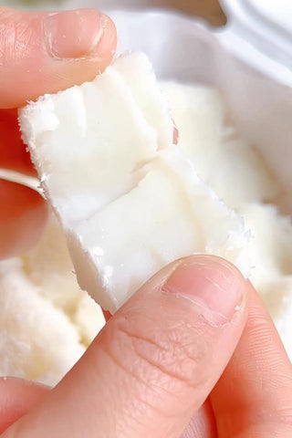 Coconut Milk Pudding Cubes